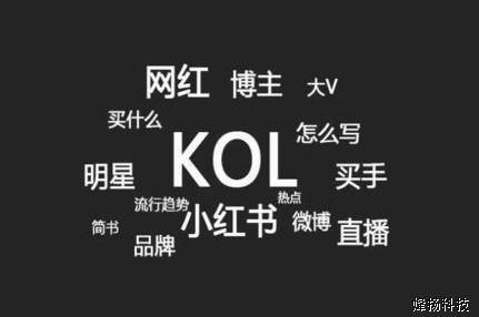 新零售KOL