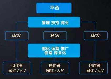 MCN机构是什么意思？